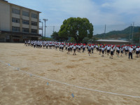 DSCN6734