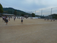 DSCN6805