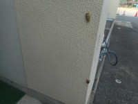 DSCN7372
