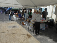 DSCN7492