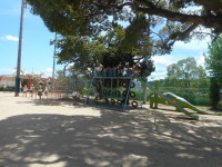 DSCN7631