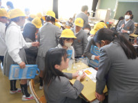 DSCN9973