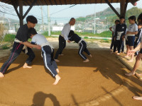 DSCN0081