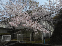 DSCN0101
