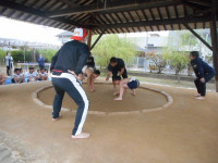 DSCN4488