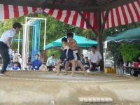 DSCN4698
