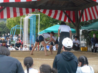 DSCN4731