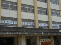DSCN5251