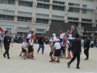 DSCN5390