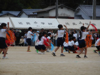 DSCN5420