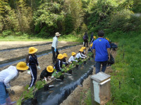 DSCN5472