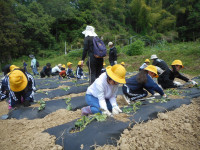 DSCN5489