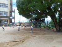 DSCN5579