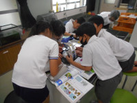 DSCN6051