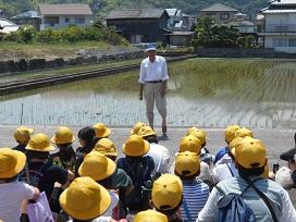 田植え１