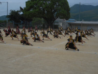 DSCN6878