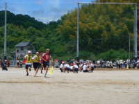 DSCN6981
