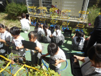 DSCN7801