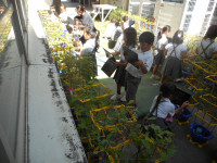 DSCN7805
