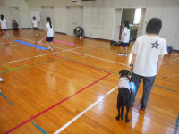 DSCN7944